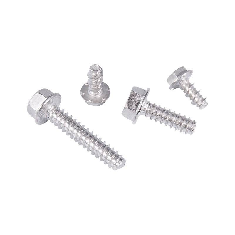 C1022A SUS410 SUS304 SUS316 สกรูตัวเอง