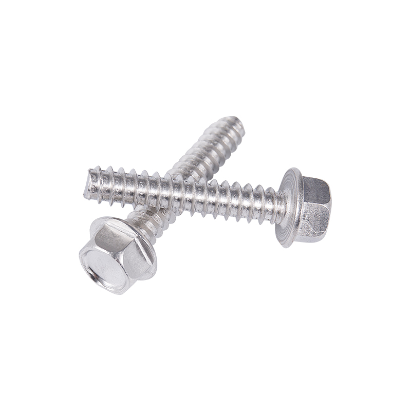 C1022A SUS410 SUS304 SUS316 สกรูตัวเอง